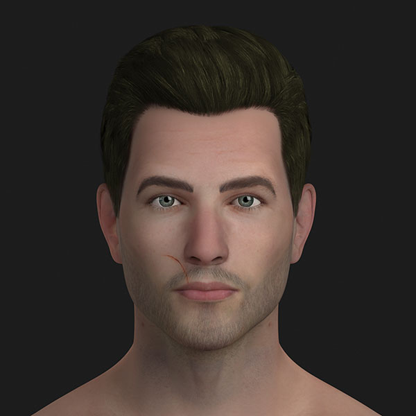 Male Head 3D Model
