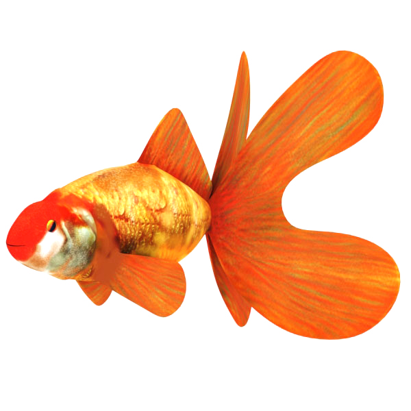 Fish Rigged Animated